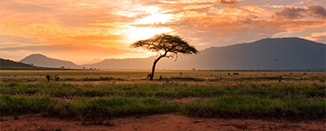 Gathering Data To Help Decision-Making In Africa