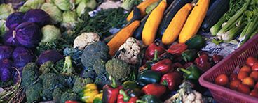 From the ground to your plate: the Internet of Food and Farm and how IoT in smart transportation fits in