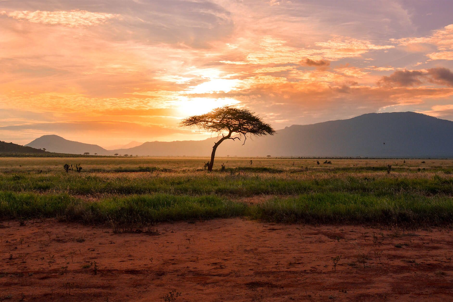 Gathering Data To Help Decision-Making In Africa