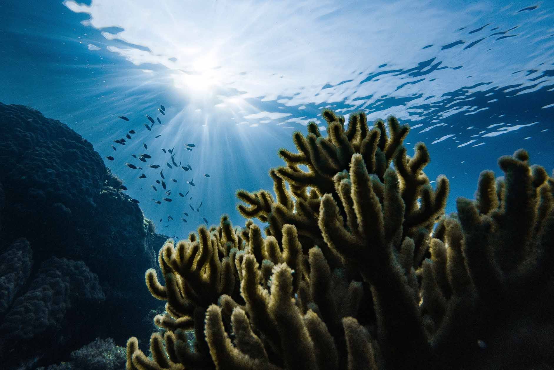 Telecom26 provides global connectivity to Stream Ocean
